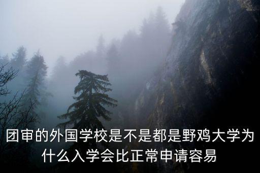 團審的外國學校是不是都是野雞大學為什么入學會比正常申請容易