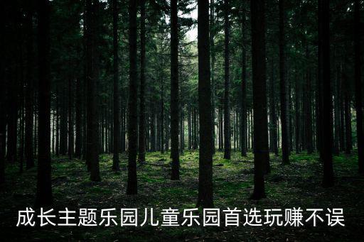 成長(zhǎng)主題樂(lè)園兒童樂(lè)園首選玩賺不誤
