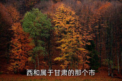 隴南西和縣，甘肅有幾個西和縣