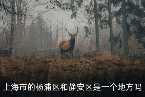 上海市的楊浦區和靜安區是一個地方嗎