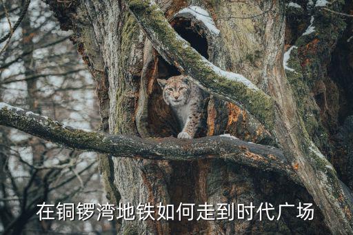 在銅鑼灣地鐵如何走到時代廣場