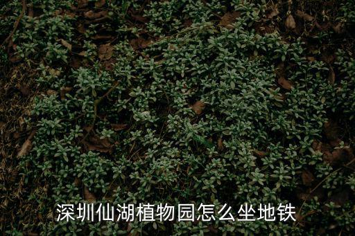 深圳仙湖植物園怎么坐地鐵