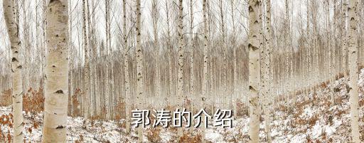 主持人郭濤，東南臺郭濤主持的是什么節目幾點的