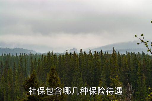社保包含哪幾種保險(xiǎn)待遇
