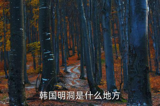 韓國明洞是什么地方
