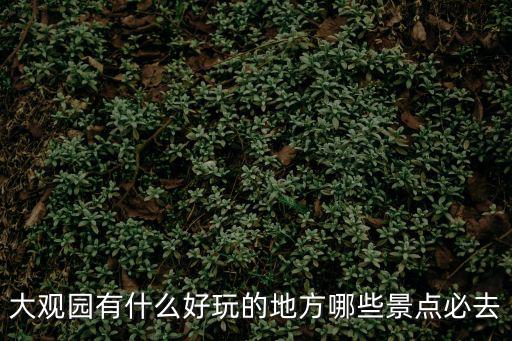 大觀園好玩嗎，寧海大觀園好玩嗎
