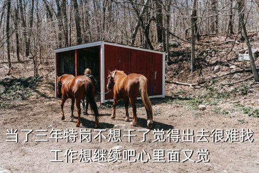 當了三年特崗不想干了覺得出去很難找工作想繼續吧心里面又覺