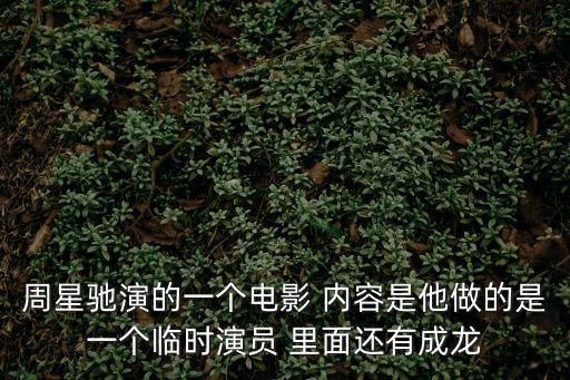 周星馳演的一個電影 內容是他做的是一個臨時演員 里面還有成龍