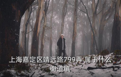 上海嘉定區靖遠路799弄 屬于什么街道鎮