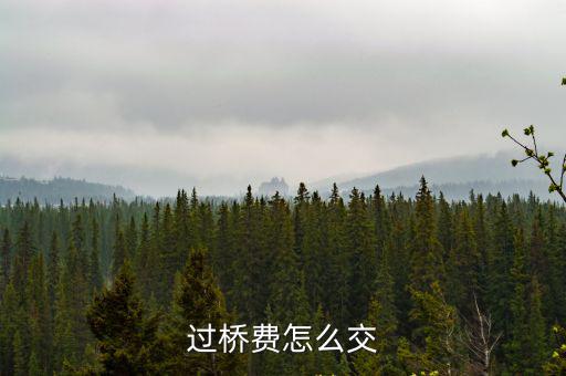 過橋費，過橋費是多少