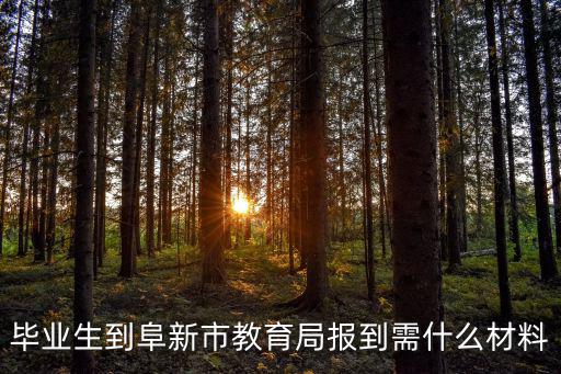 畢業生到阜新市教育局報到需什么材料