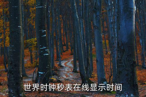 世界時(shí)鐘秒表在線顯示時(shí)間