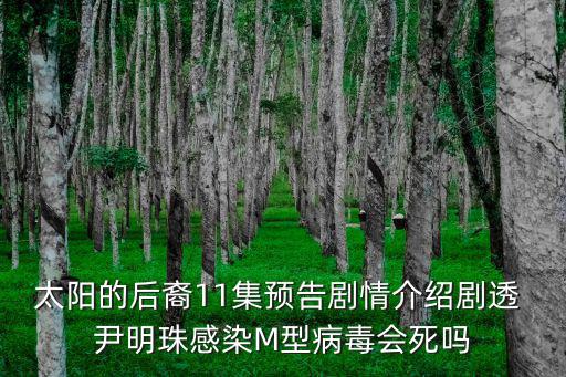 太陽的后裔11集預告劇情介紹劇透 尹明珠感染M型病毒會死嗎