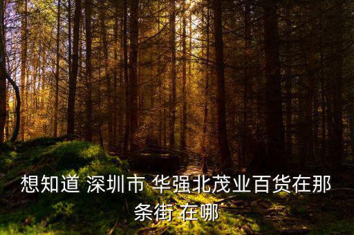 想知道 深圳市 華強(qiáng)北茂業(yè)百貨在那條街 在哪