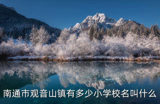 南通市觀音山鎮有多少小學校名叫什么