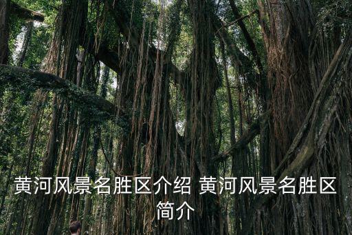 黃河風景名勝區介紹 黃河風景名勝區簡介