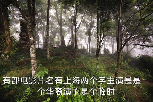 有部電影片名有上海兩個字主演是是一個華裔演的是個臨時