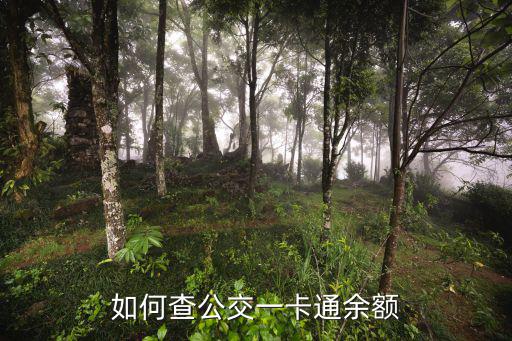 公交卡怎么查詢余額，如何查公交一卡通余額