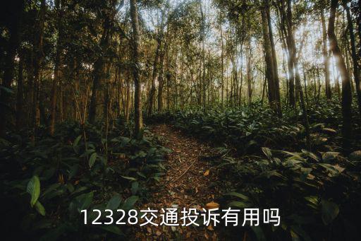 12328交通投訴有用嗎