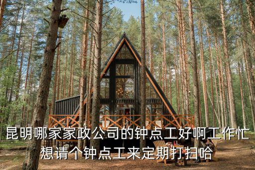 昆明哪家家政公司的鐘點工好啊工作忙想請個鐘點工來定期打掃哈