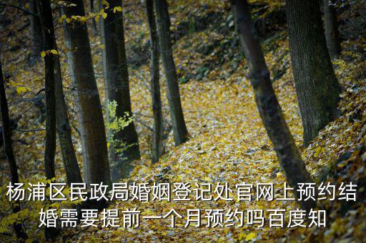 楊浦區民政局婚姻登記處官網上預約結婚需要提前一個月預約嗎百度知