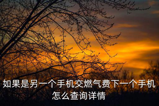 怎樣查看自己燃?xì)鈶籼?hào)，這個(gè)天然氣表怎么看誰(shuí)能告訴我上面的數(shù)字是什么