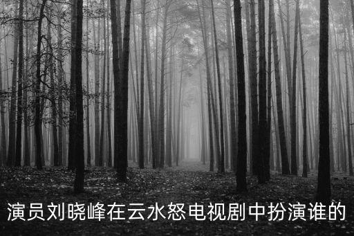 演員劉曉峰在云水怒電視劇中扮演誰的