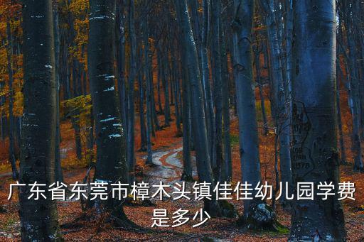 廣東省東莞市樟木頭鎮(zhèn)佳佳幼兒園學(xué)費是多少