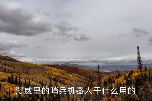 漫威里的哨兵機(jī)器人干什么用的