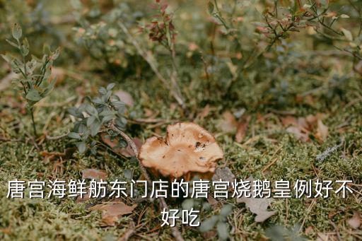 唐宮海鮮舫東門店的唐宮燒鵝皇例好不好吃