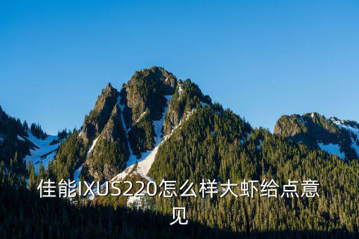 佳能IXUS220怎么樣大蝦給點意見