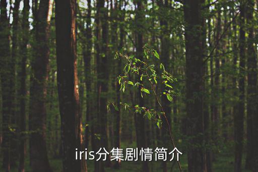 iris分集劇情簡介
