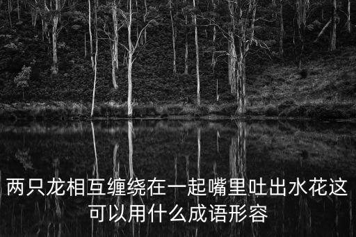 兩只龍相互纏繞在一起嘴里吐出水花這可以用什么成語形容