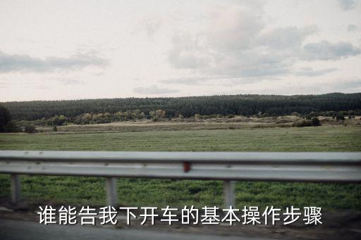 誰能告我下開車的基本操作步驟