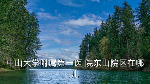 中山大學(xué)附屬第一醫(yī) 院東山院區(qū)在哪兒