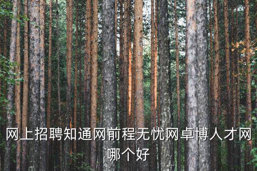 網(wǎng)上招聘知通網(wǎng)前程無憂網(wǎng)卓博人才網(wǎng)哪個(gè)好