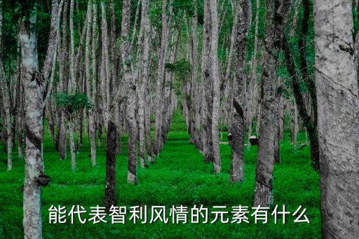 能代表智利風(fēng)情的元素有什么