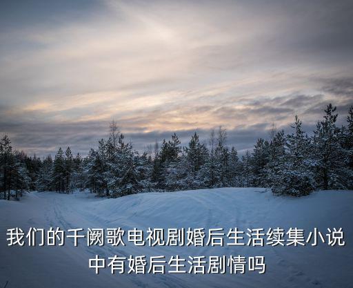 我們的千闕歌電視劇婚后生活續(xù)集小說中有婚后生活劇情嗎