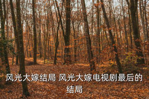電視劇風光大嫁，丈母娘非要50萬的電視劇是
