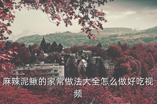 麻辣泥鰍的家常做法大全怎么做好吃視頻