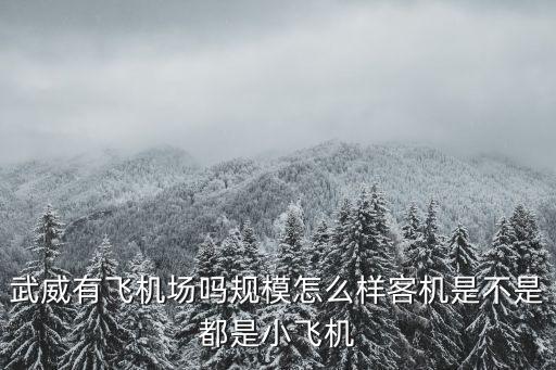 武威機場，武威有飛機場嗎規模怎么樣客機是不是都是小飛機