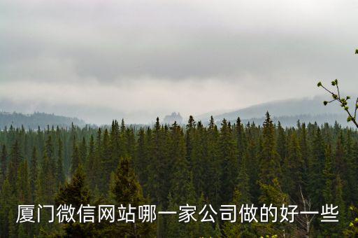 廈門微信網站哪一家公司做的好一些