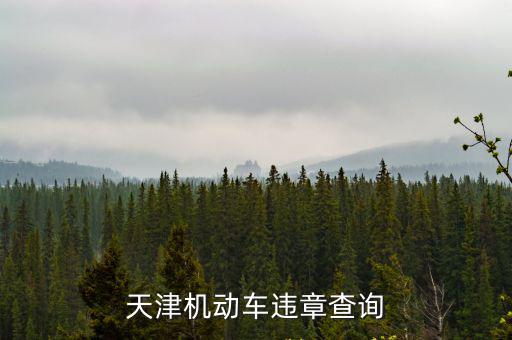 天津機動車違章查詢