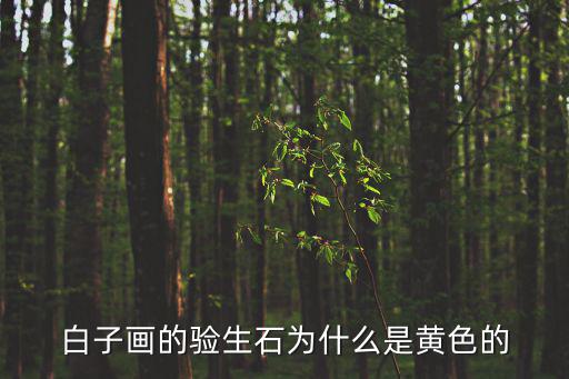 白子畫的驗生石為什么是黃色的