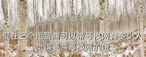 現在三個運營商可以帶號換網有多少人覺得要帶號換網的哦