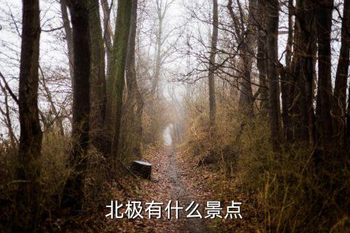 北極點旅游，北極有什么景點