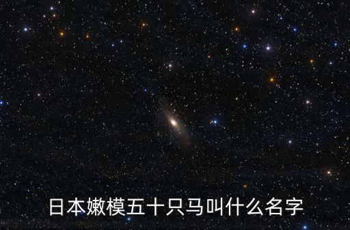 日本嫩模五十只馬叫什么名字