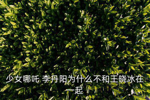 少女哪吒，少女哪吒 李丹陽為什么不和王曉冰在一起