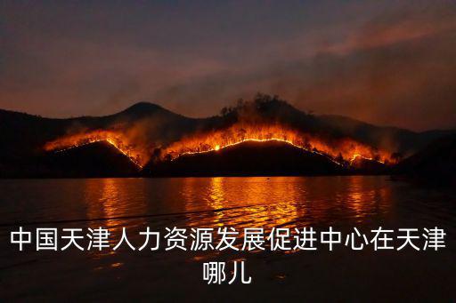 天津人力，請問天津哪里人力做的好
