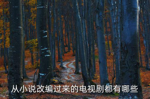 小說改編的電視劇，網絡小說改編的電視劇有哪些